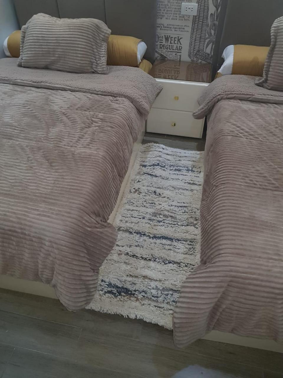 الجيزه شارع كليه الزراعه عماره ١٢